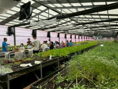 透過多模態教學活動，提升大專生中英文表達能力，宣導生態保育
