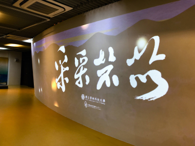  【采采芣苡】2021年度成果展