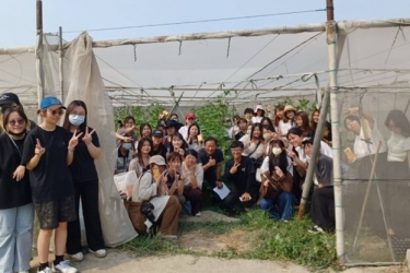 雲林縣地方農特產之品牌整合設計建構
