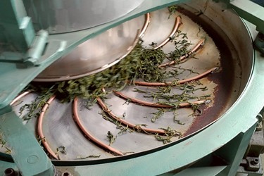 淺山USR-紅茶香裡的專業交流