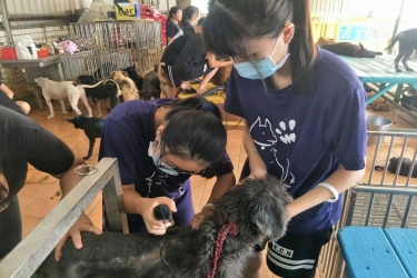 台南市徐園長護生園志工服務活動