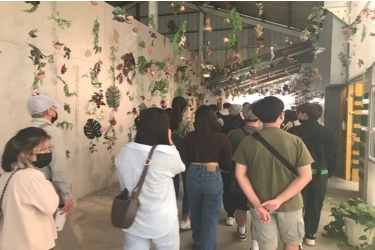 生態環境的實踐-古坑蘿莎玫瑰莊園