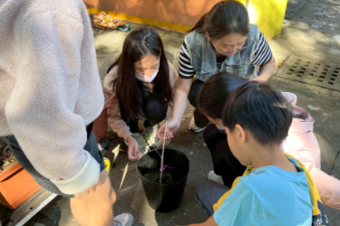 創新與永續：連接社區與世界 SDGs 的故事寫作新視角